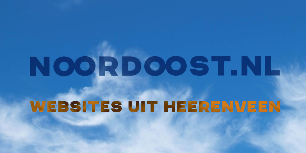 noordoost website preview
